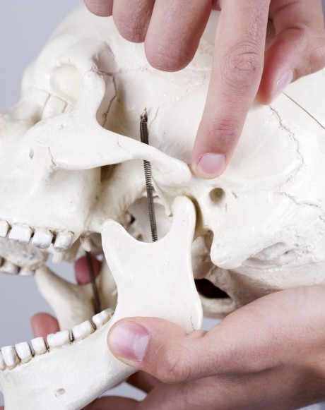 Dentist pointing to T M J joint on skull model